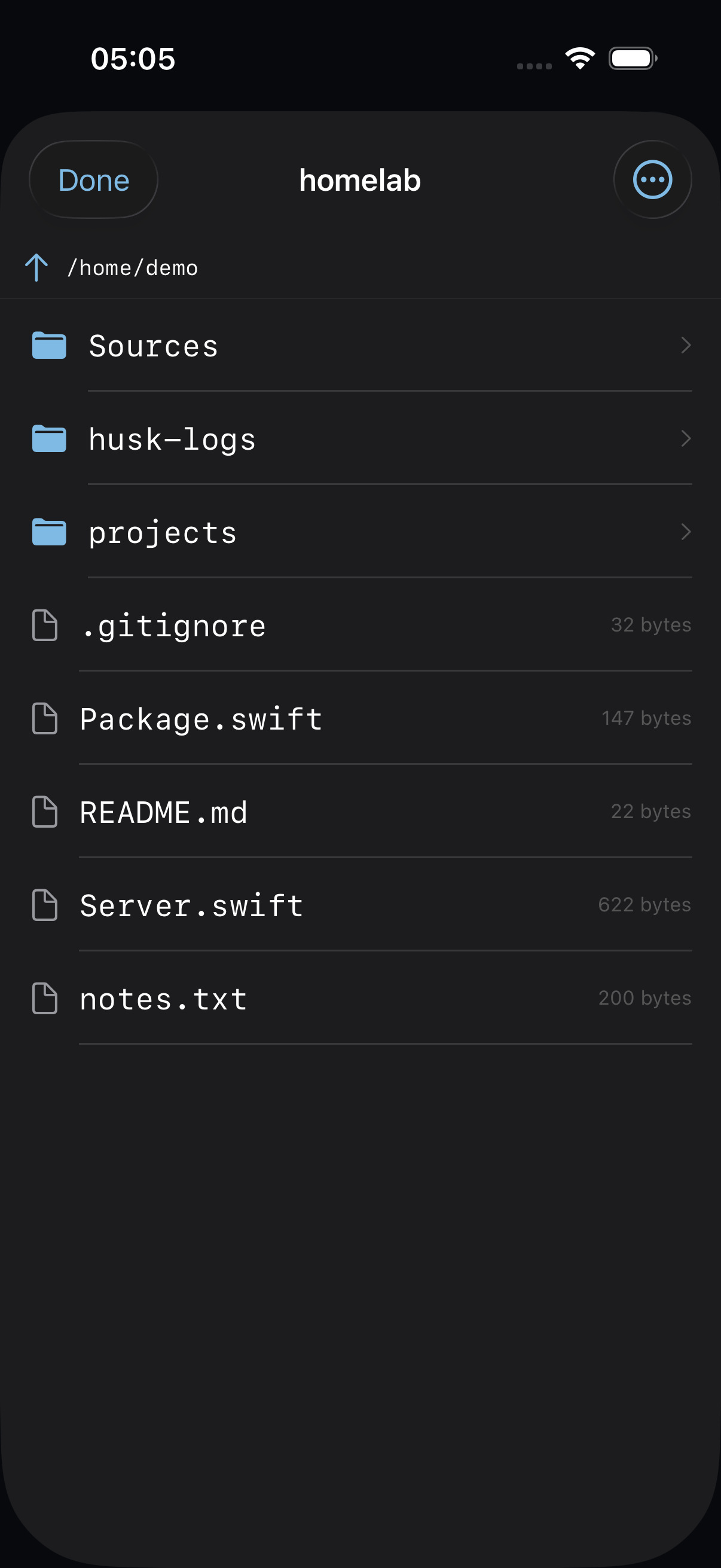 Husk SFTP file browser listing a project