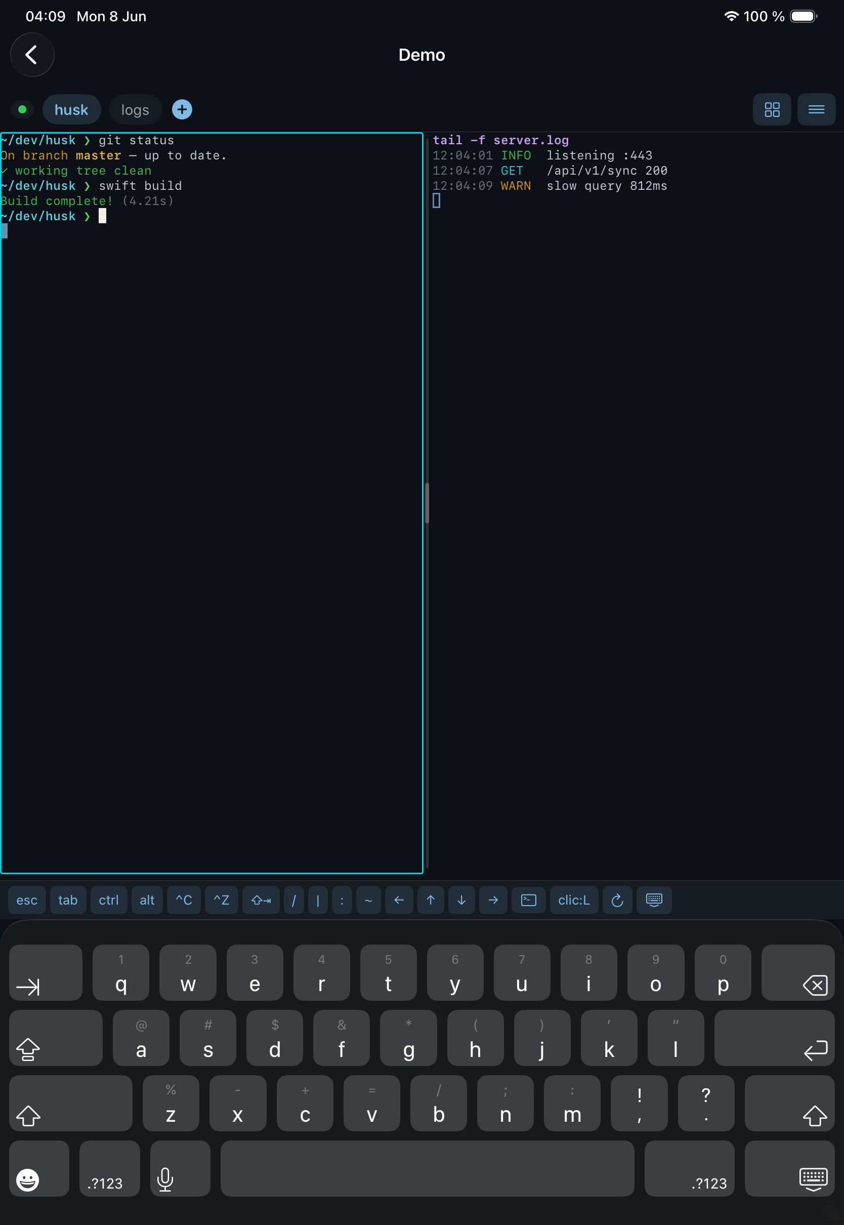 iPad with panes tiled side by side